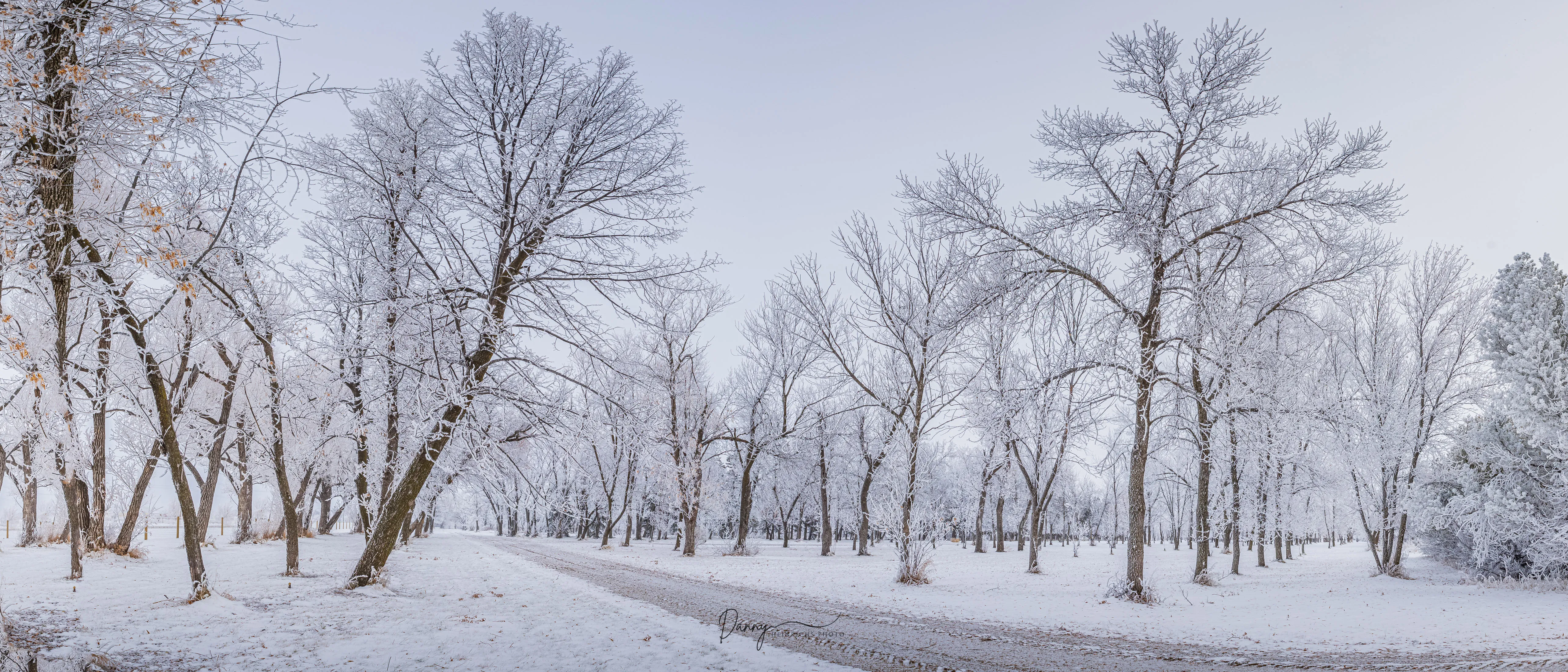 241201 Frosty Lanejpg