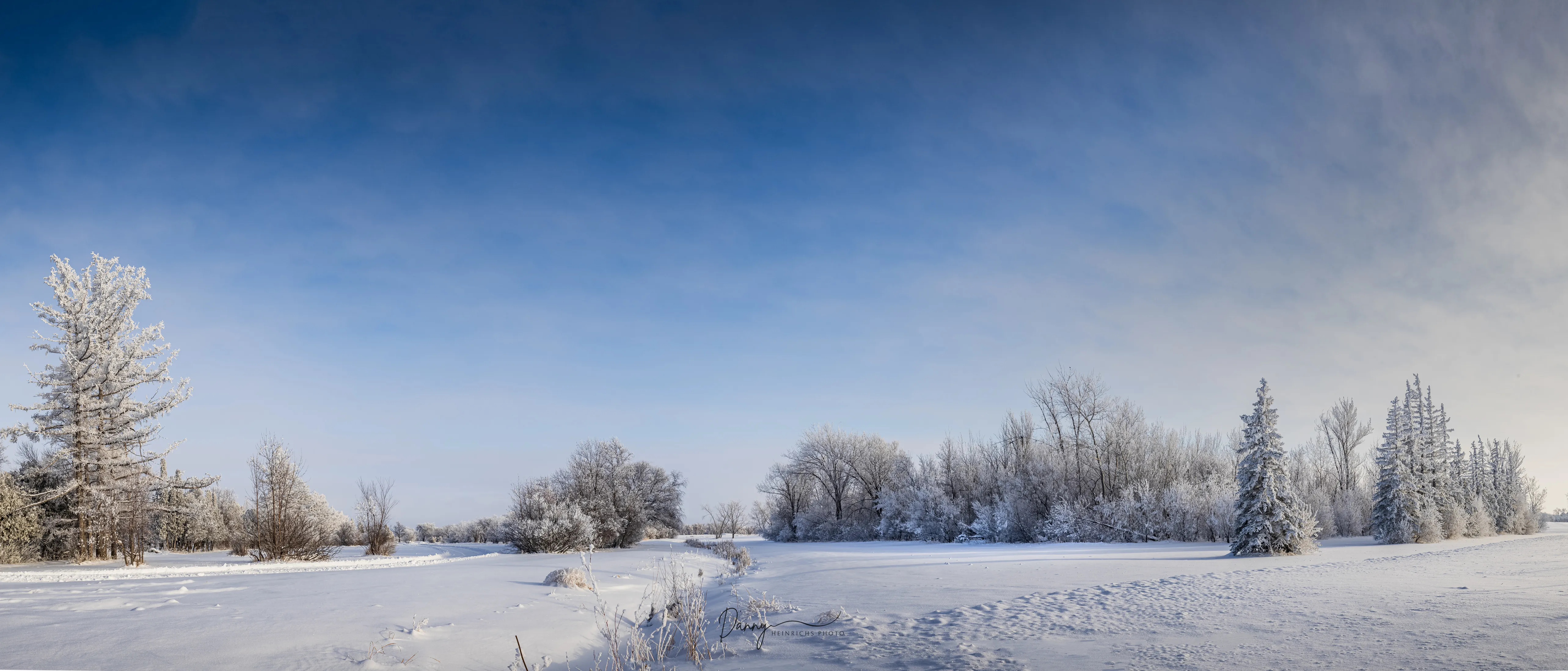 241223 Frosty Trees