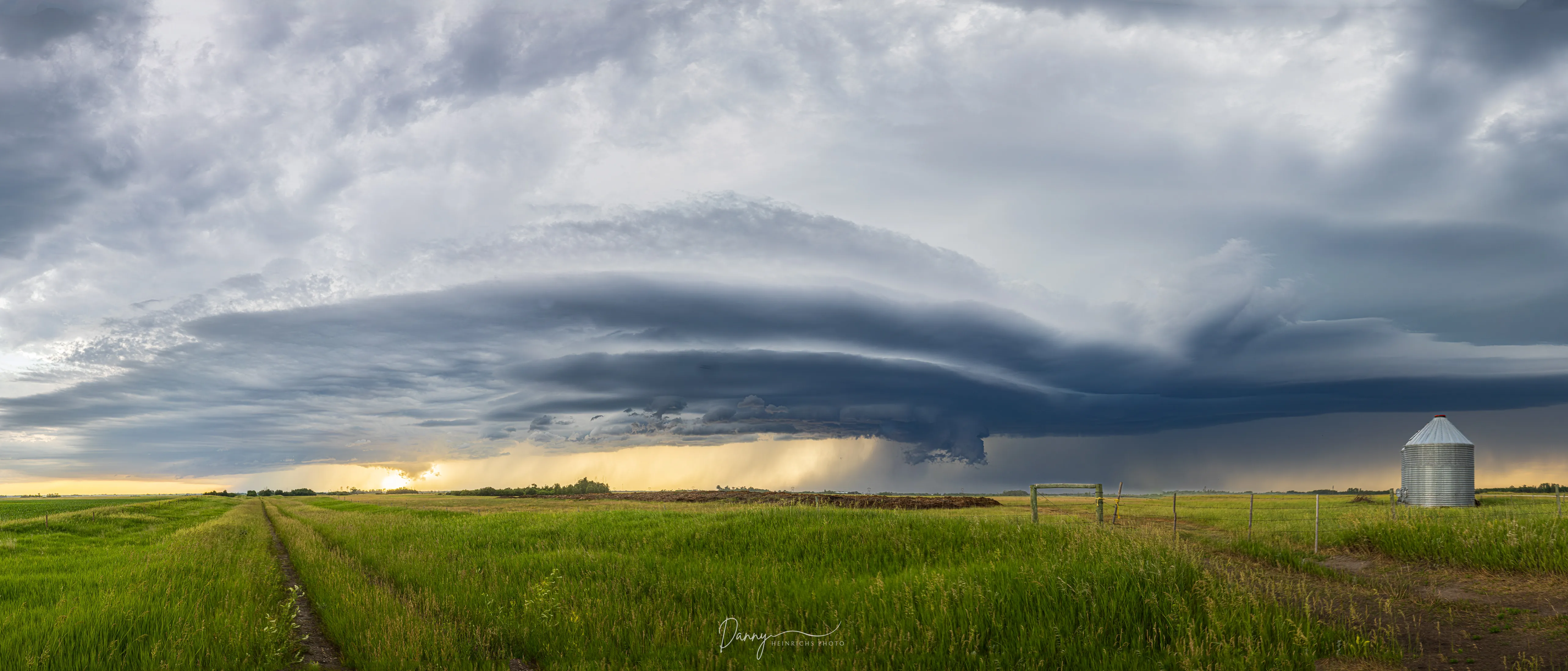 250703 Westman Binshelf