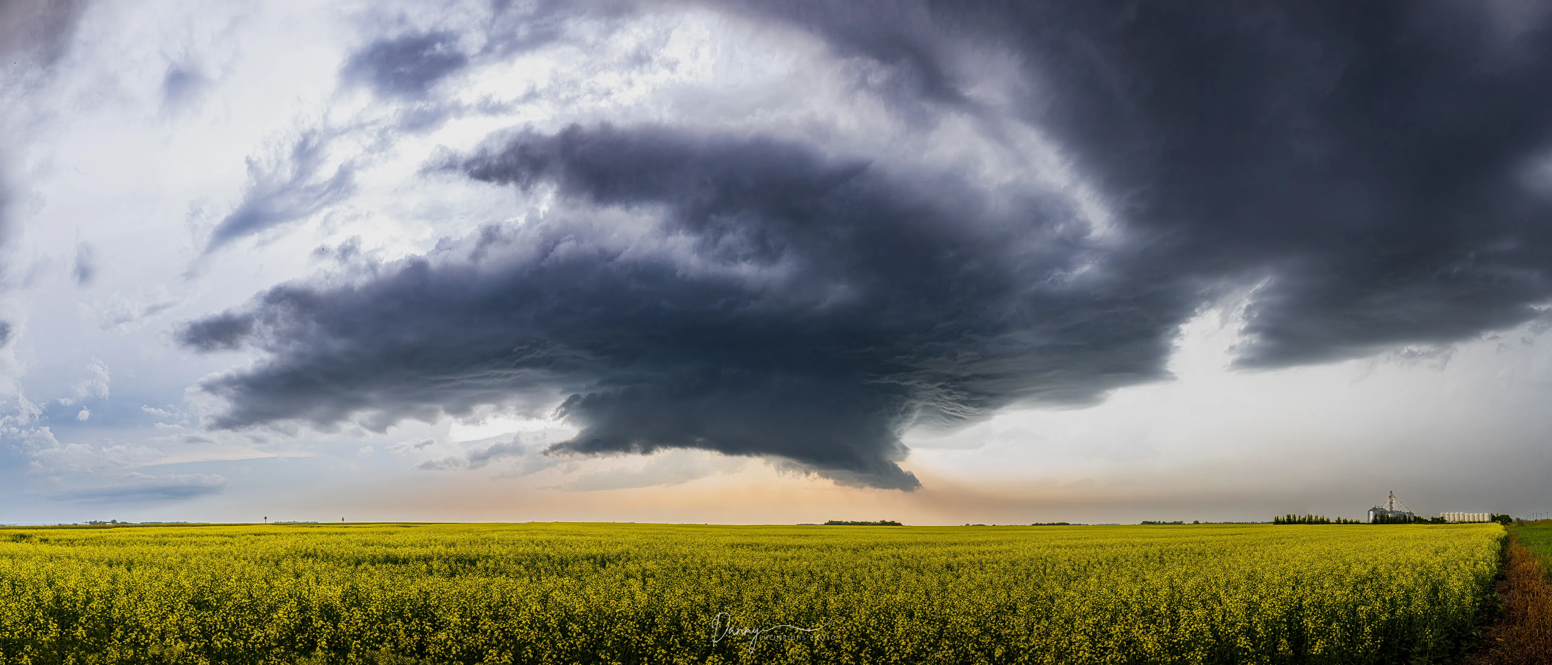250710 Boisse Canola Storm